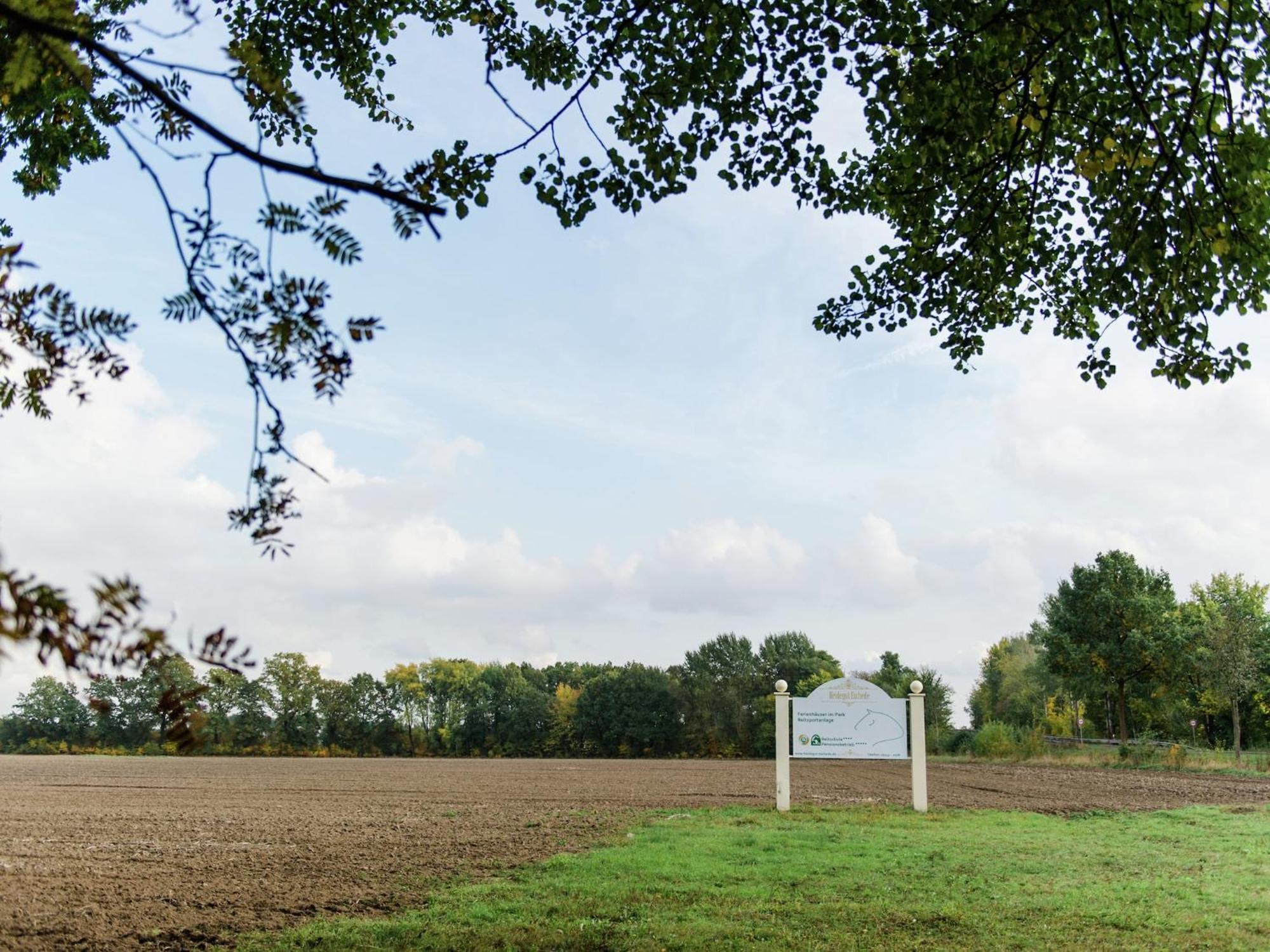 Cozy Holiday Home On A Horse Farm In The L Neburg Heath Eschede Exterior photo