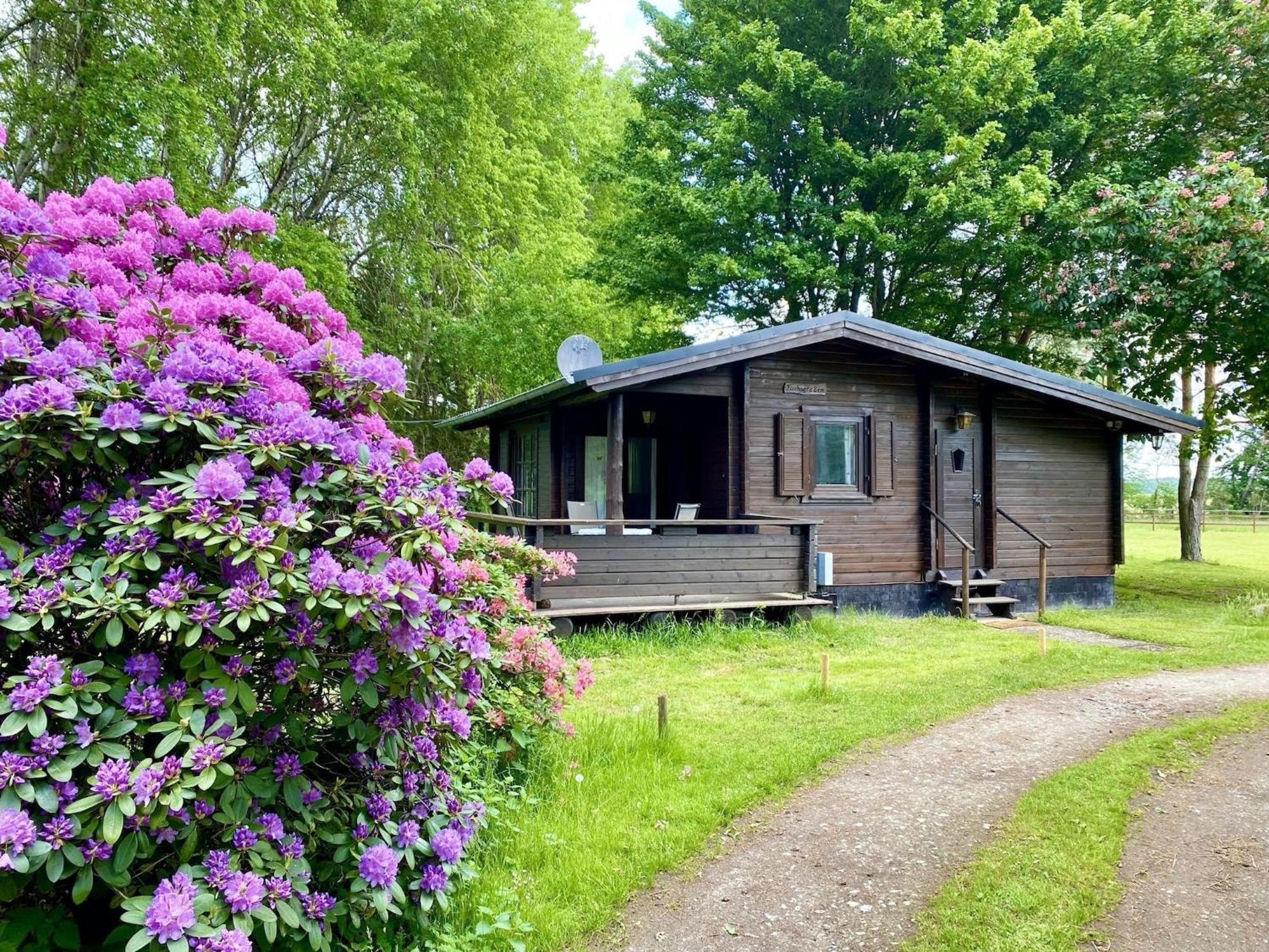Cozy Holiday Home On A Horse Farm In The L Neburg Heath Eschede Exterior photo