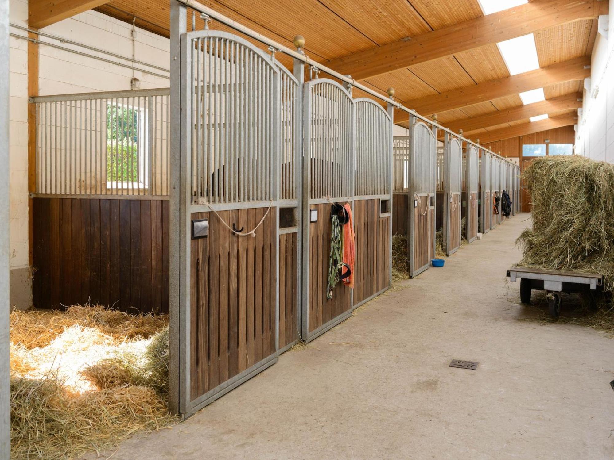 Cozy Holiday Home On A Horse Farm In The L Neburg Heath Eschede Exterior photo
