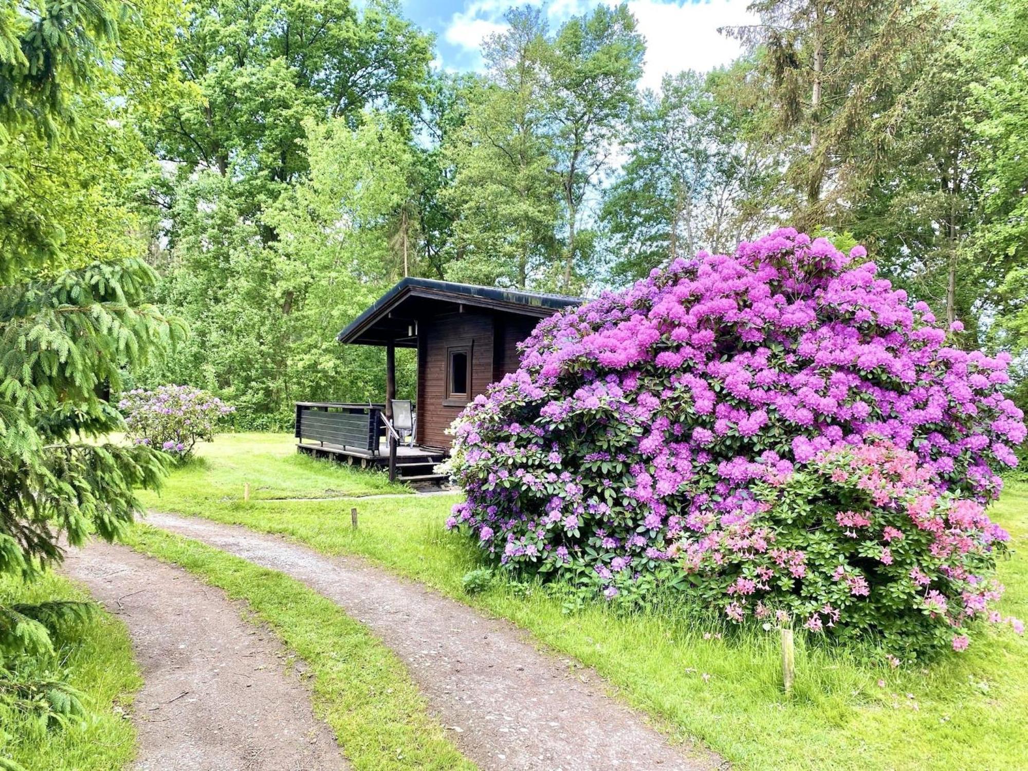 Cozy Holiday Home On A Horse Farm In The L Neburg Heath Eschede Exterior photo