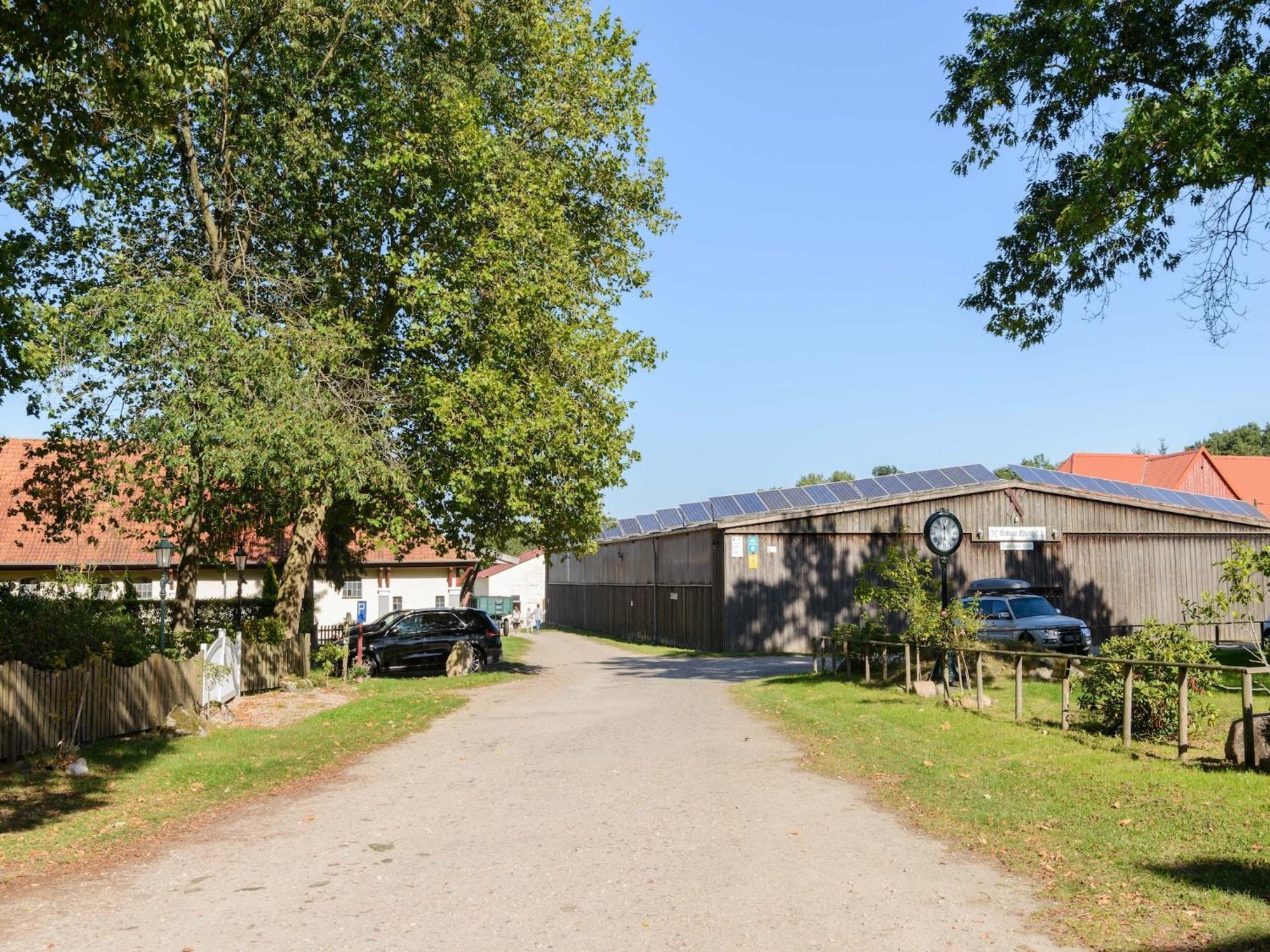 Cozy Holiday Home On A Horse Farm In The L Neburg Heath Eschede Exterior photo