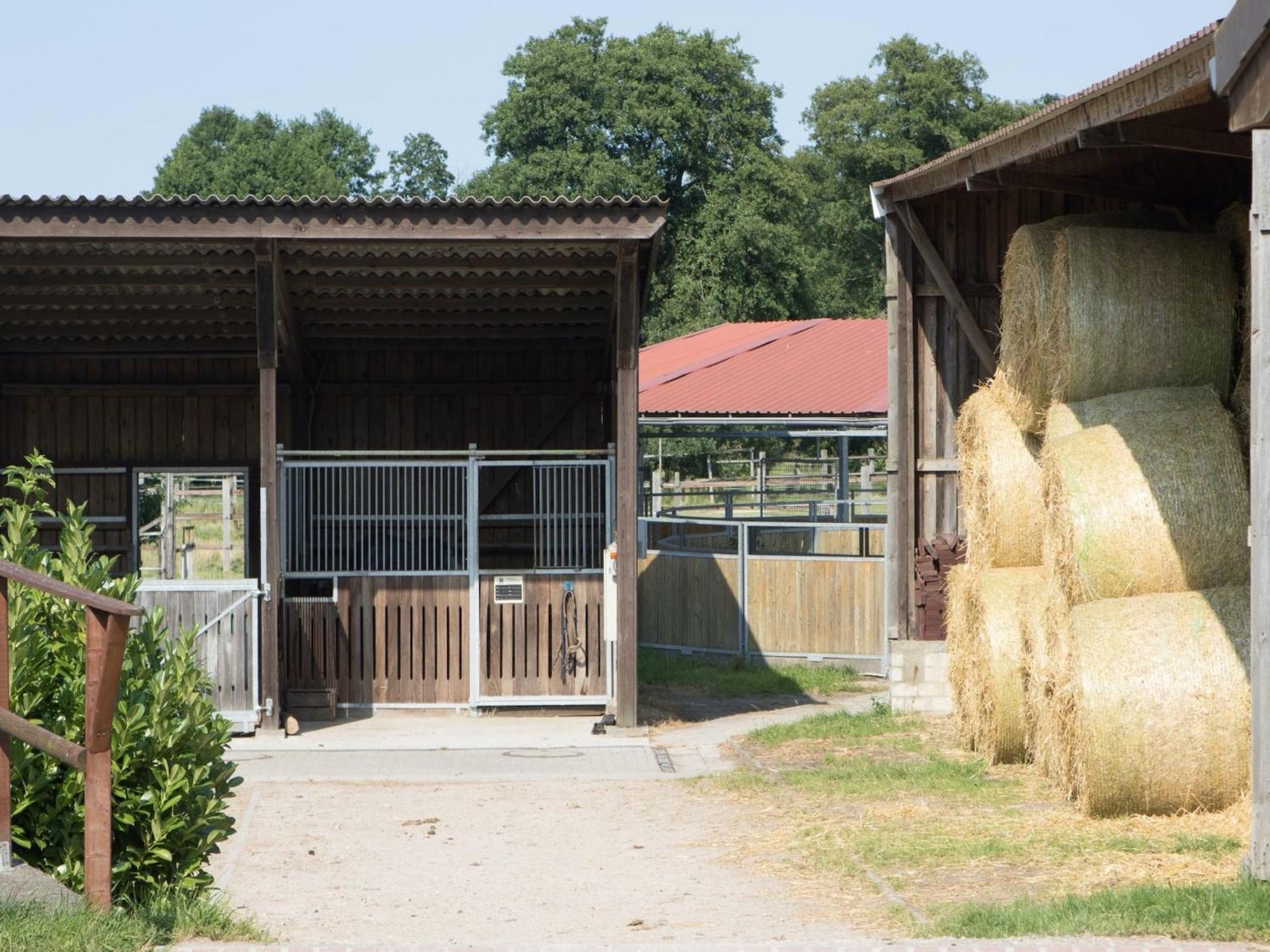 Cozy Holiday Home On A Horse Farm In The L Neburg Heath Eschede Exterior photo